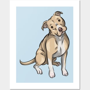 Cute American Pit Bull Terrier | Fawn Posters and Art